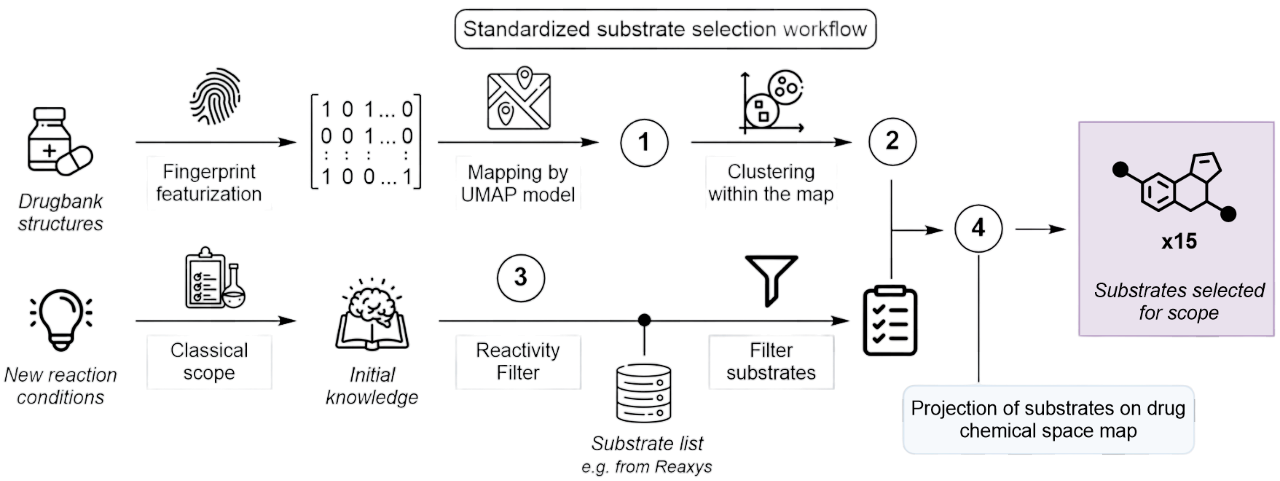 Selection Workflow Image